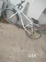 Cycles.    Nice