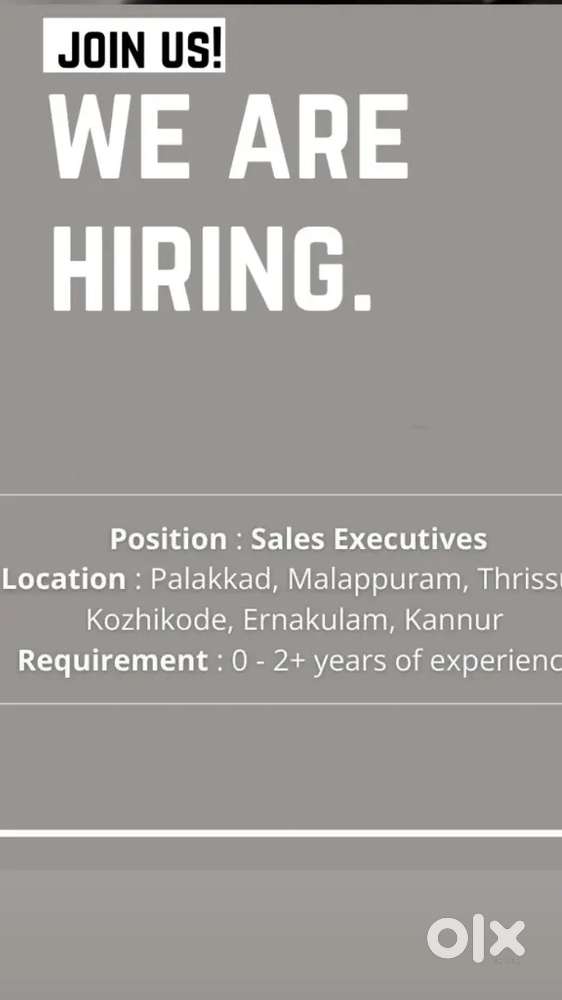 Sales Executive