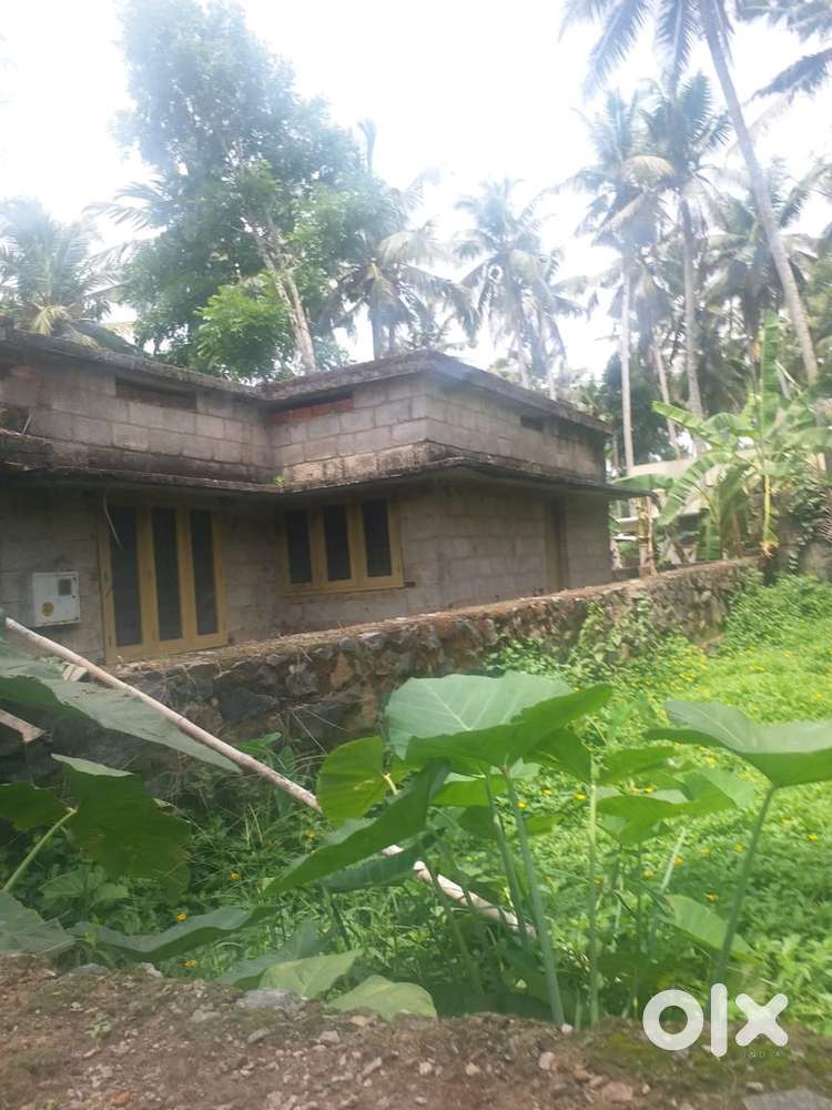 House and plot for sale near vellayani temple
