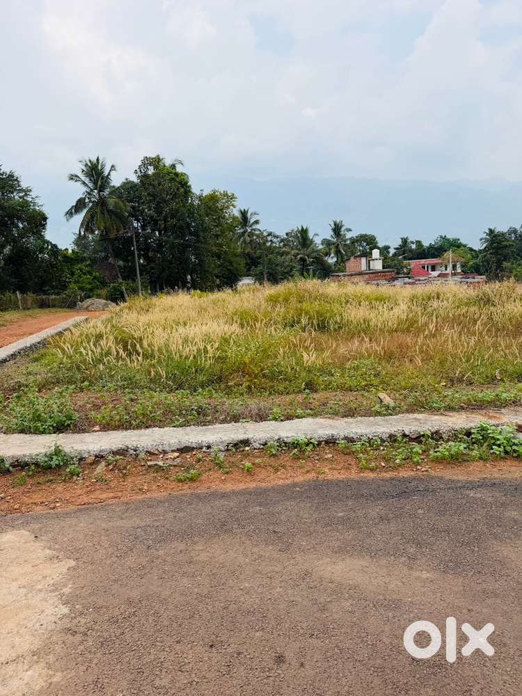 House plot @ Mannarkkad