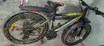 Roadeo geared cycle