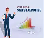 SALES EXECUTIVE