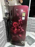 Lg Single Door Fridge