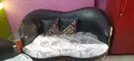 Sofa Set in brand new condition 3+1+1