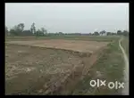 Lauwadih me 13 manda khet hai best location par