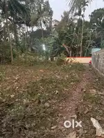 23 cent plot for sale