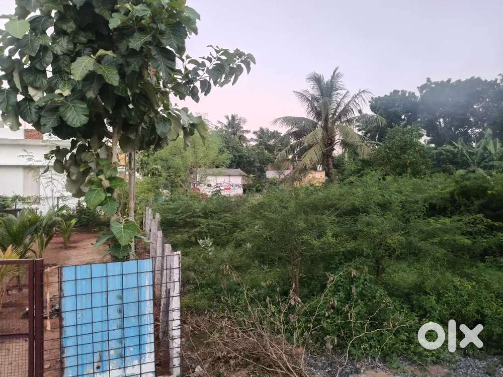 Land situated in Ammanpettai, Thanjavur.