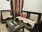 Sofa cum Bed