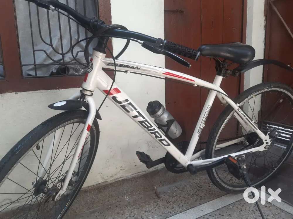 JetBird 22inch Cycle in Excellent Condition