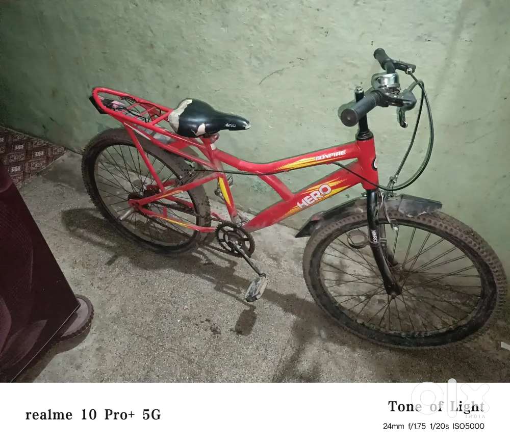 5 month old bill available