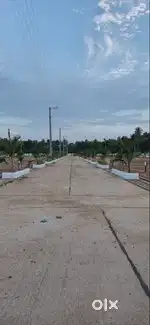 Ready for construct plot for sales