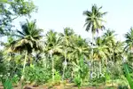 ecure & Serviced Farm Plots Near Gauribidanur with Weekend Stay