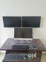 Receptionist (Only for Girls)