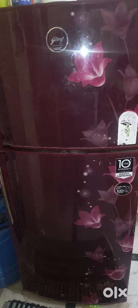 One year old neet condition double door