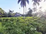 8Cent Purayidam Land Thathappilly Main Road Frontage Varapuzha
