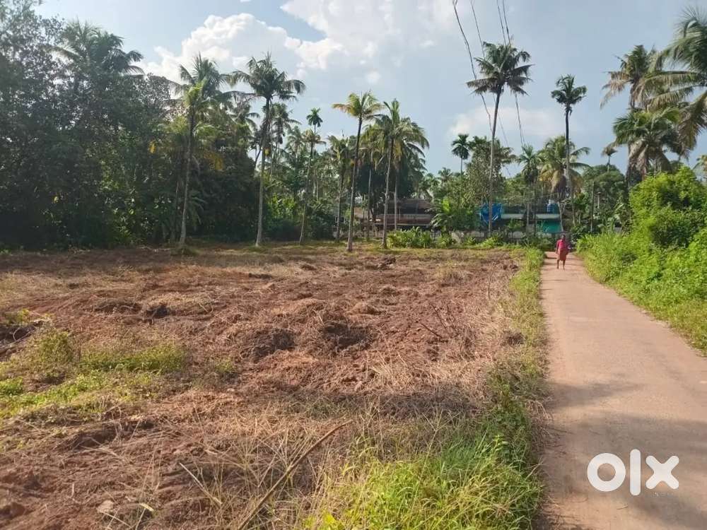 36 cent plot for sale near porathissery, irinjalakuda