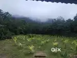 Farm land with farm house