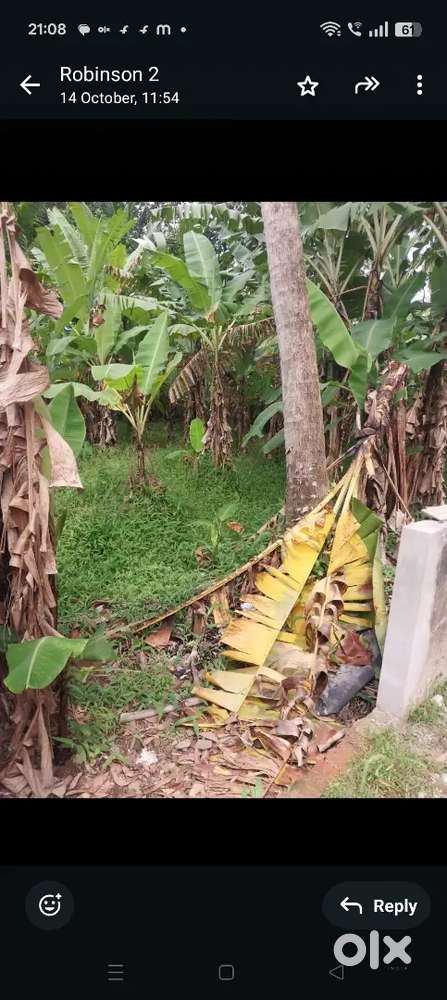 10 cent land for sale mannanthala 200 m from main road