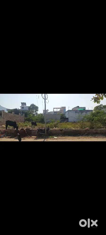 30*65=216.66 square yard ADA approved free hold patta plot for sale