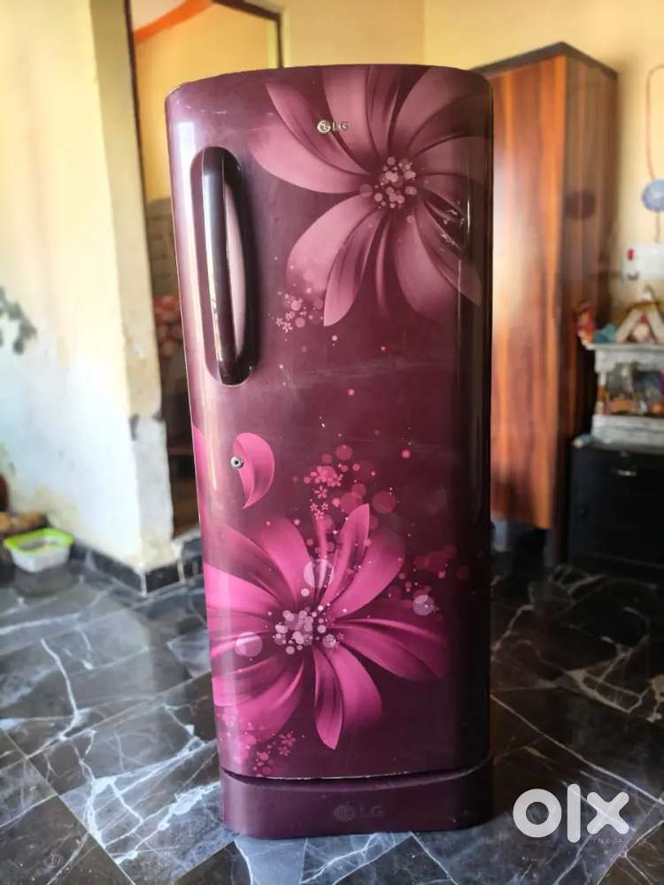Lg 235 litre fridge with chouki good condition