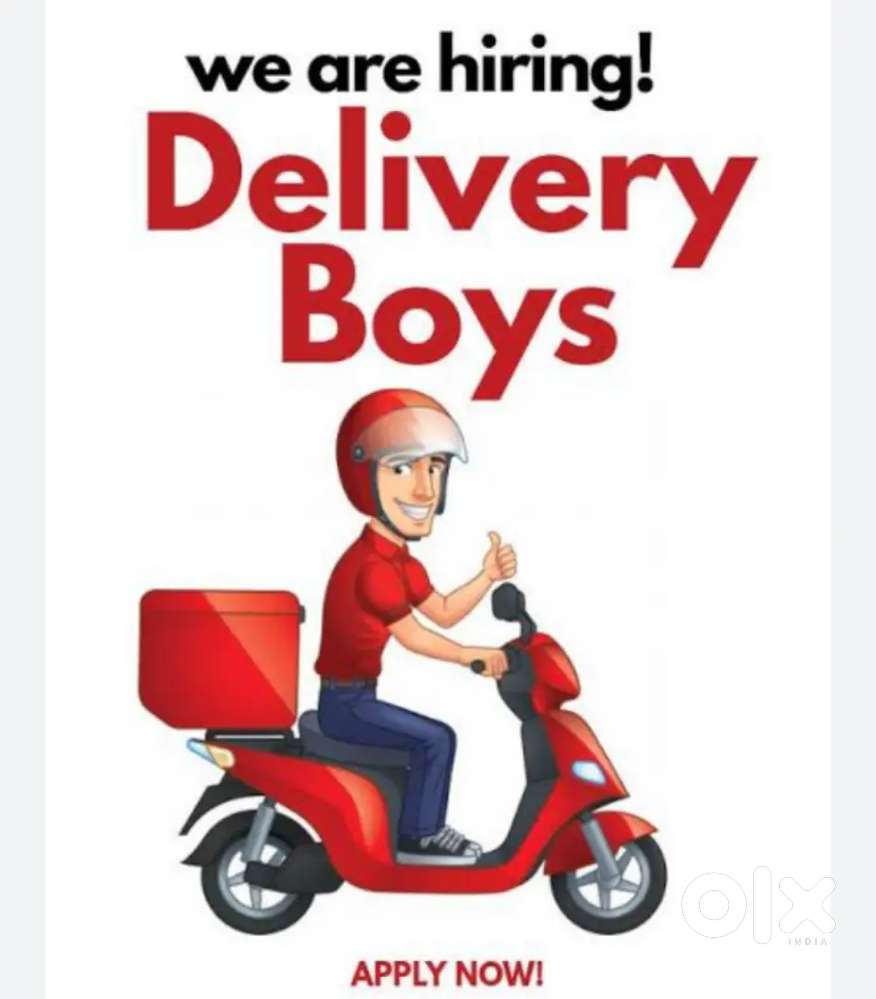 MEESHO delivery job