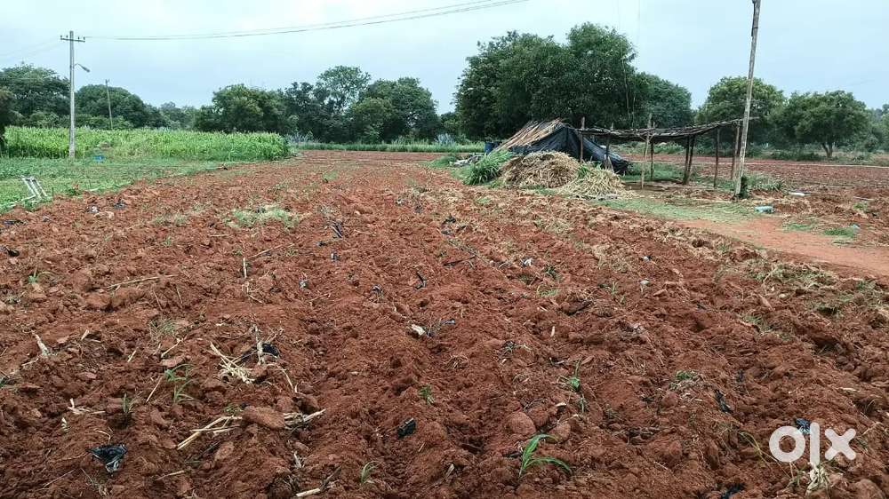 30x40 Site for Sale in Nature City Bogadi road