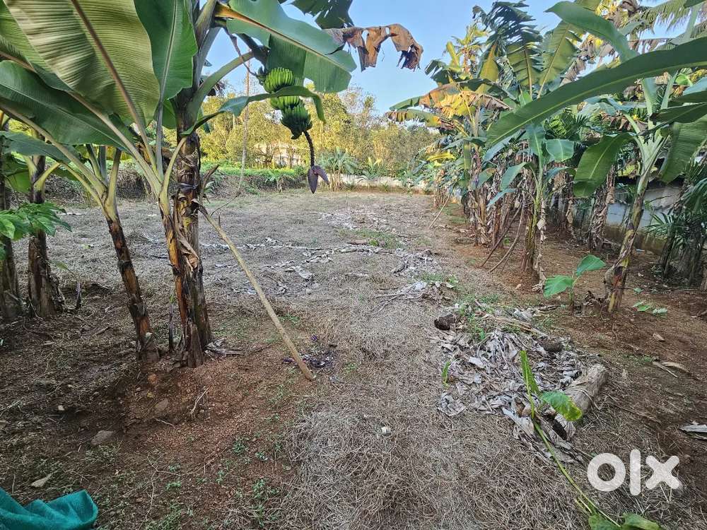 Land in namakuzhy mulakulam north, piravom