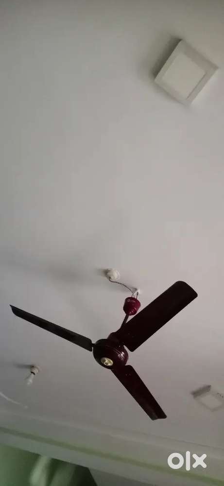 1 singal room attech toilet bath rant me dena h