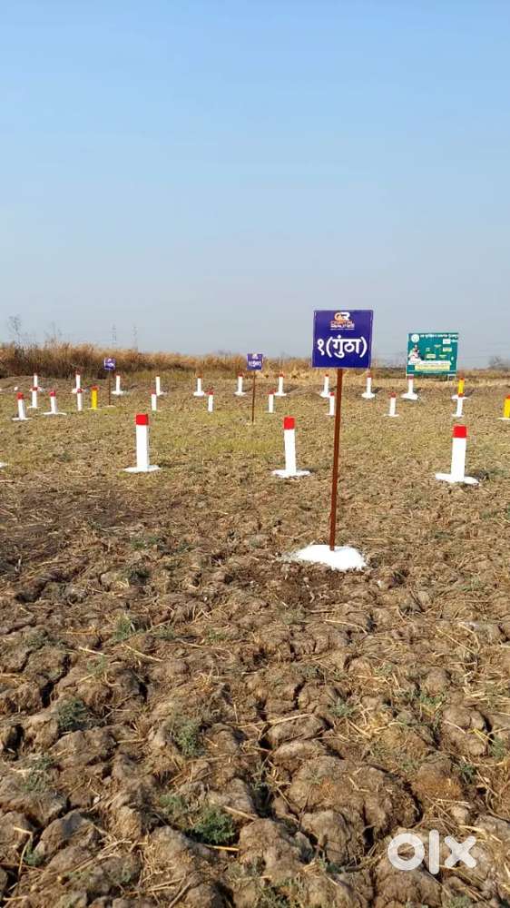 Open NA plot near by international