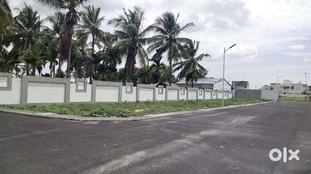 Near by SNS Arts colleges