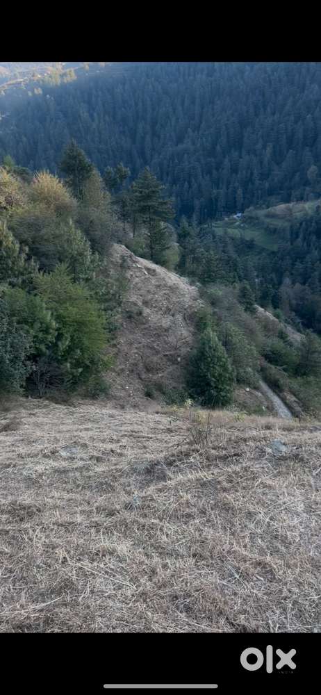 10 bigha land for sale in fagu