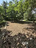 Land Close to Rajagiri Hospital , Aluva