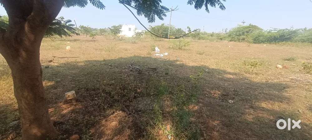 33 by 33 east face plot