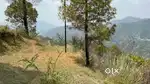 Sunny side 33 bigha land