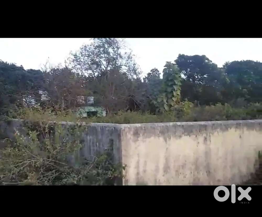 Plot for sale 350 gaj 36000 rupe gaj