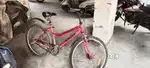 Very good condition and maintenance Eco Kross sports cycle