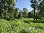 VILLA/HOMESTAY PLOT FOR SALE NEAR EDAKKAL CAVES