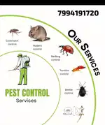 Termite treatment and pest control services available