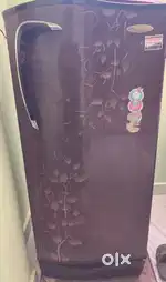 Goorej pentacool