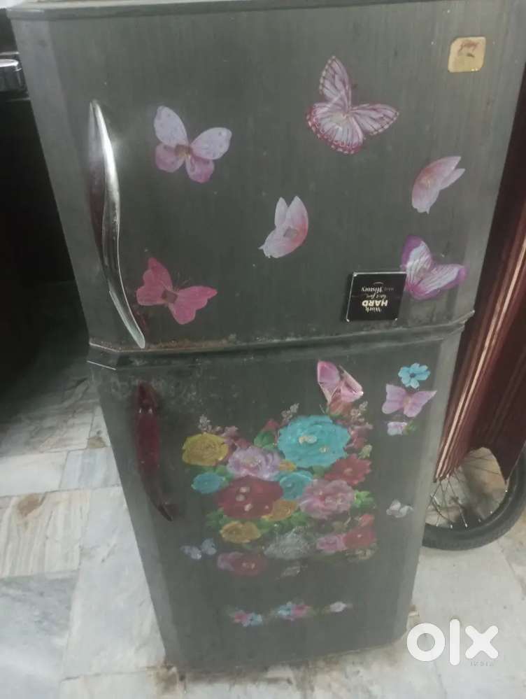 Dubul doot fridge 5000 me