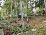 കോഴിക്കോട് ചാത്തമംഗലം 8 cent സ്ഥലം വില്പനക്ക്