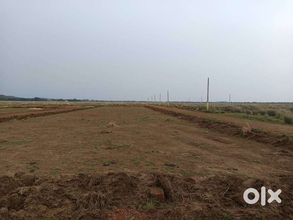 Only for investors and future planer