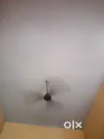 Sharing roomate