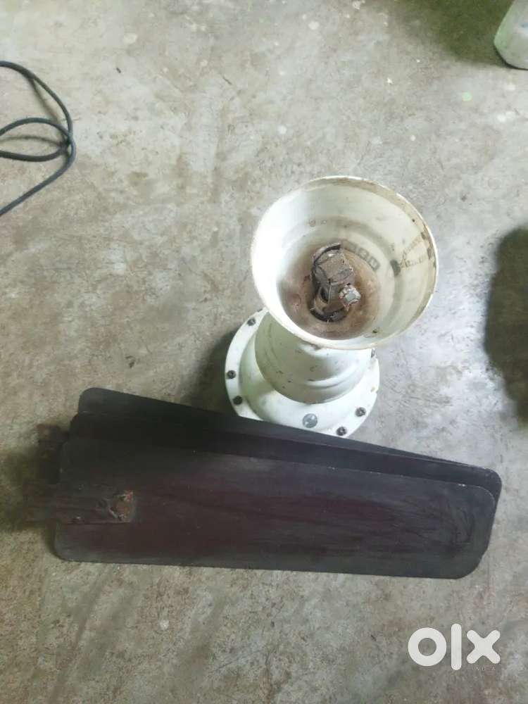 Ceiling Fan