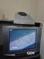 Sony WEGA TV 29inch with Subwoofer