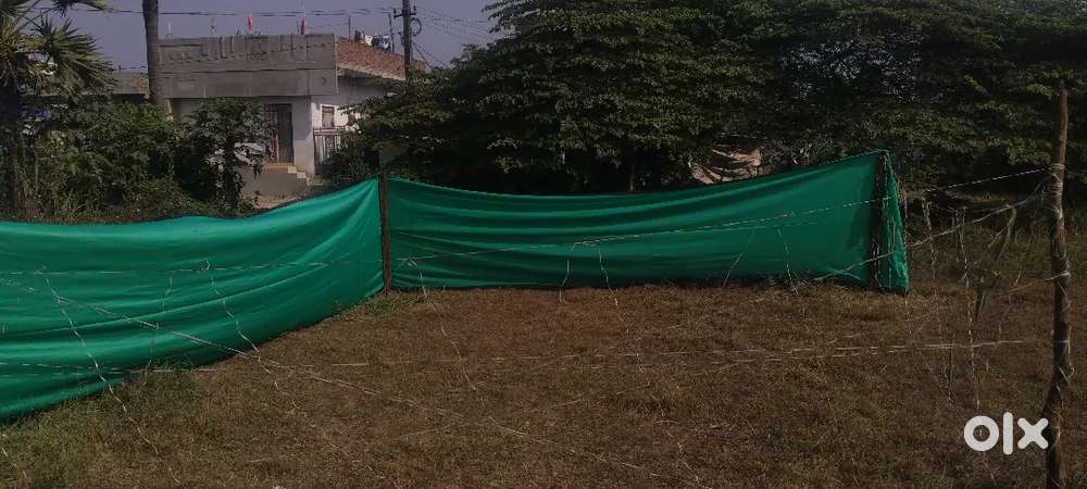650 square feet (1.5cent)land for sale in developing area