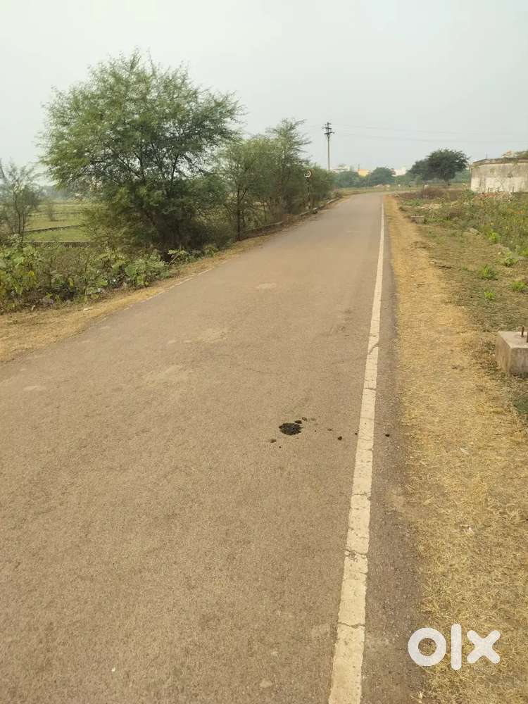 रिसाली पटरी पार द मार्क रिसॉर्ट के पास प्लॉट