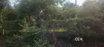 High Value Farm Plots for Sales Near Wood and Design Workshop