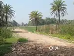 Land in Joka NH117