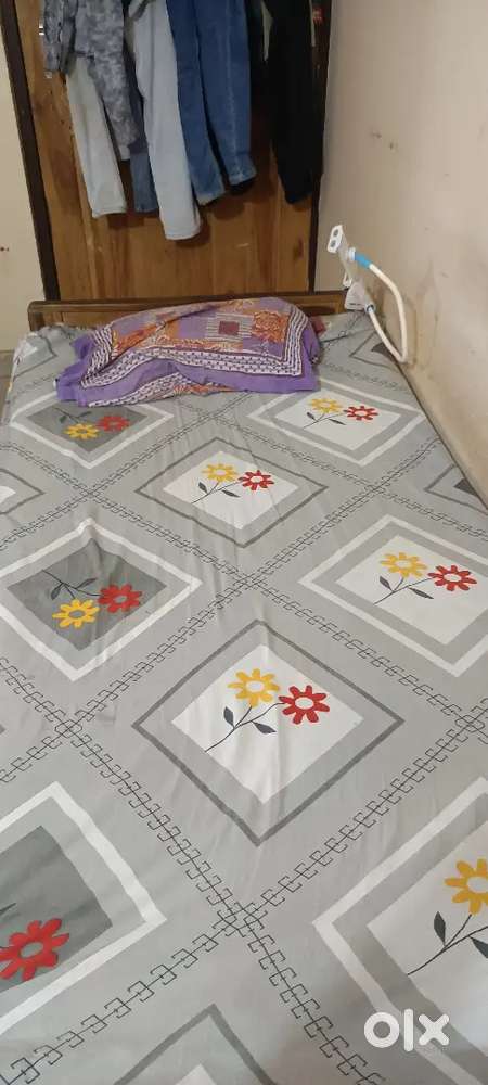 Boy roommate student and job person